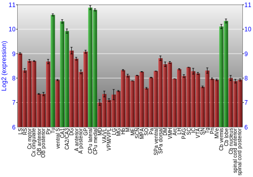 Multi-state expression graph