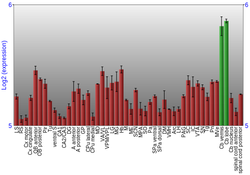 Multi-state expression graph