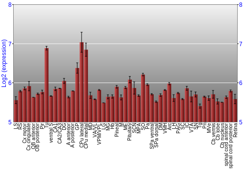 Expression graph