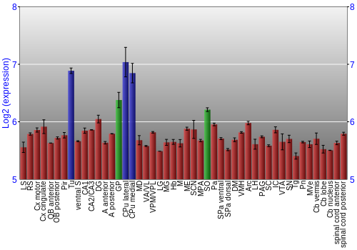 Multi-state expression graph