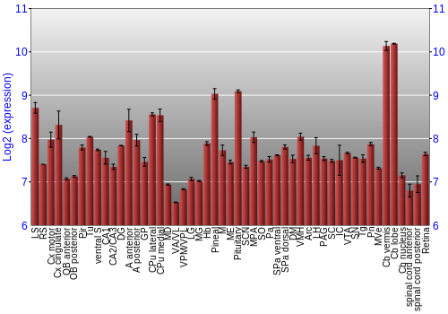 Expression graph