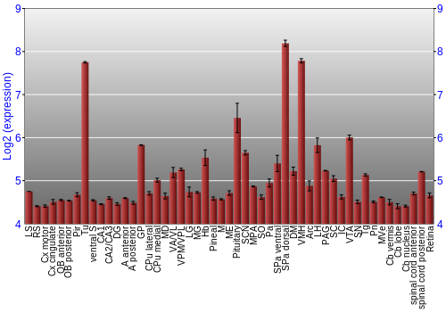 Expression graph