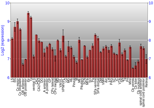 Expression graph