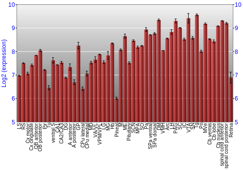 Expression graph