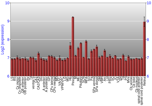 Expression graph