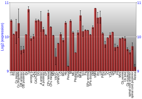 Expression graph