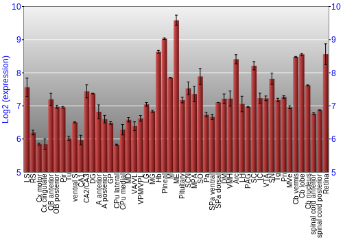 Expression graph