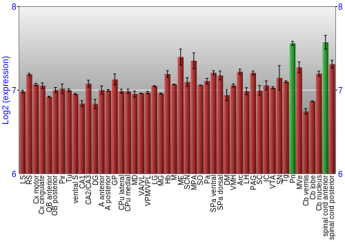 Multi-state expression graph