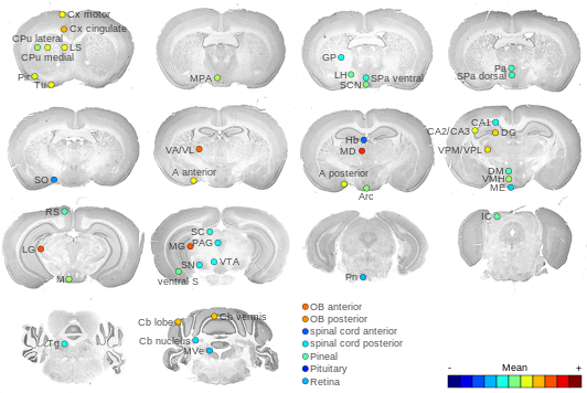 Expression map