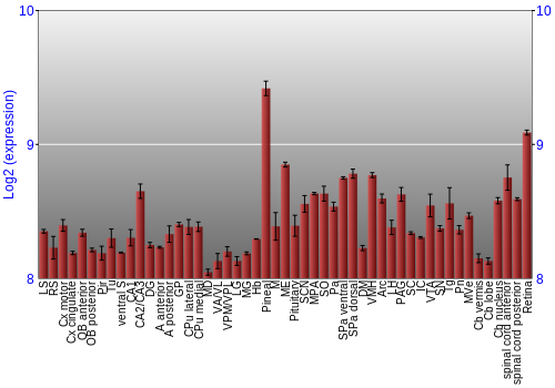 Expression graph