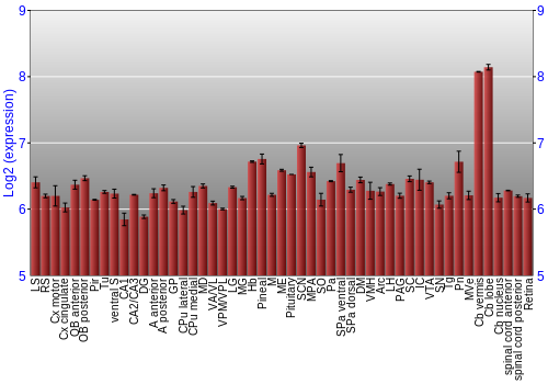 Expression graph