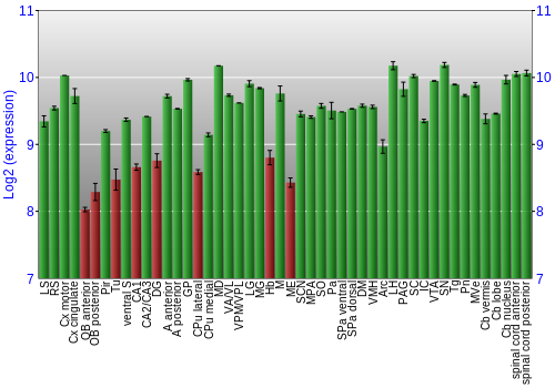 Multi-state expression graph