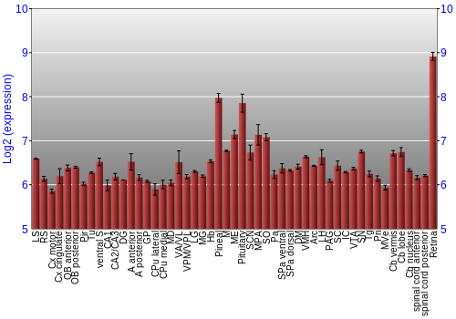 Expression graph