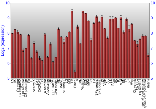 Expression graph