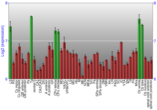 Multi-state expression graph
