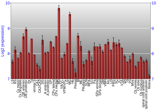 Expression graph