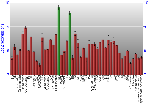 Multi-state expression graph