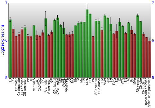 Multi-state expression graph