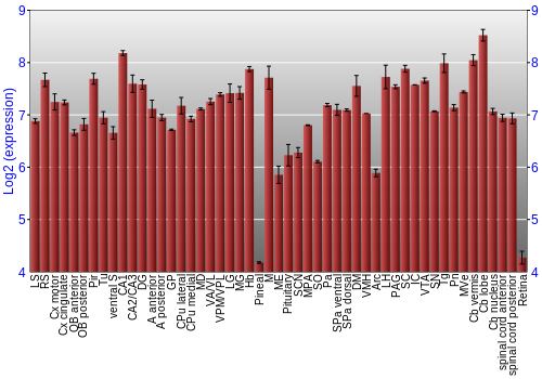 Expression graph