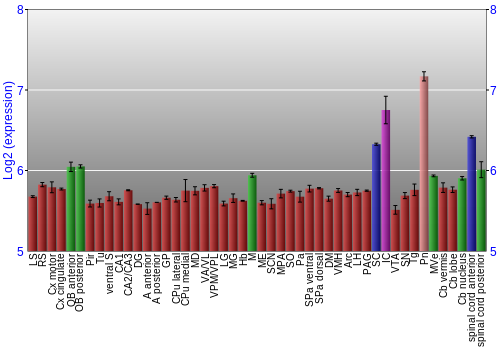 Multi-state expression graph
