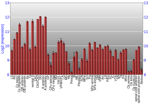 Expression graph