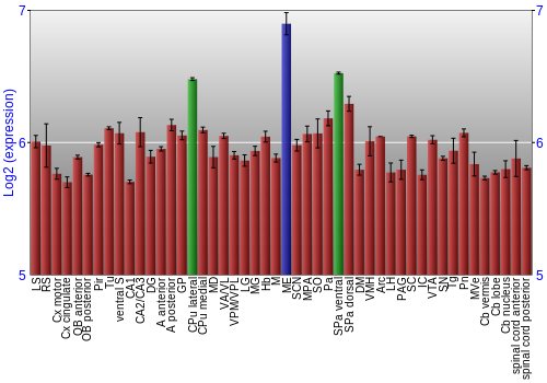 Multi-state expression graph