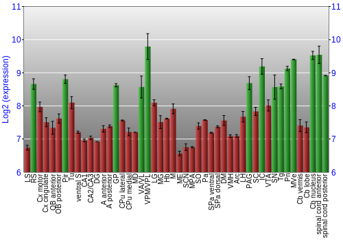 Multi-state expression graph