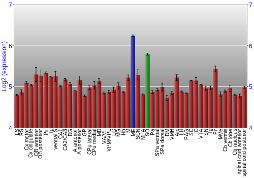 Multi-state expression graph