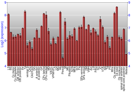 Expression graph