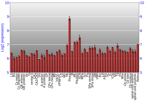Expression graph