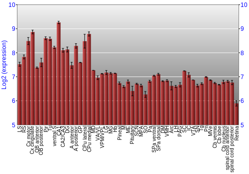 Expression graph