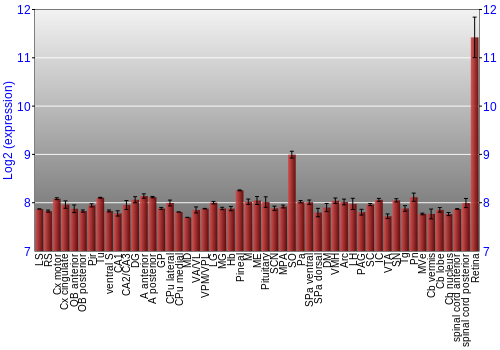 Expression graph