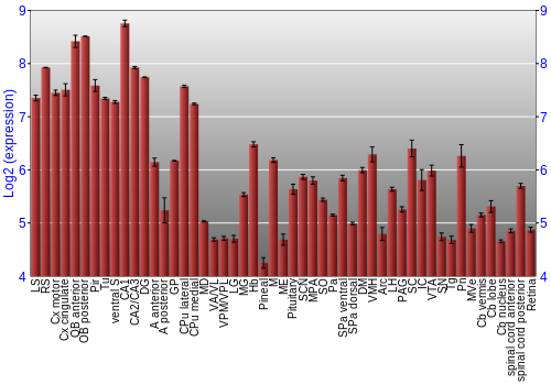 Expression graph