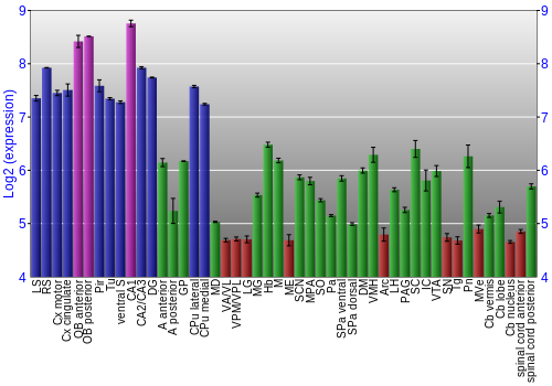 Multi-state expression graph
