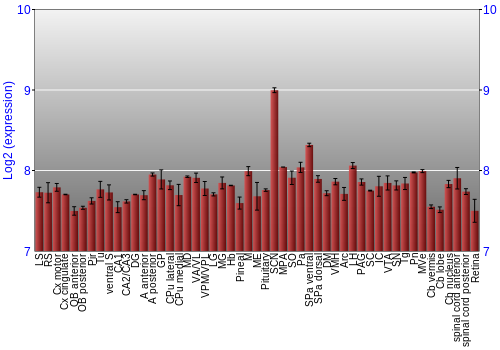 Expression graph