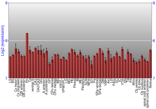Expression graph