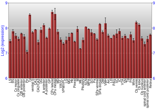 Expression graph
