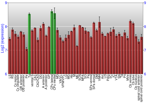 Multi-state expression graph