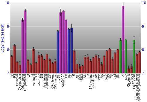 Multi-state expression graph