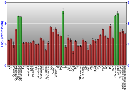 Multi-state expression graph