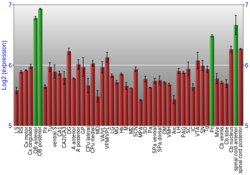 Multi-state expression graph