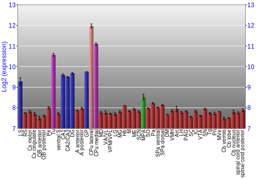Multi-state expression graph