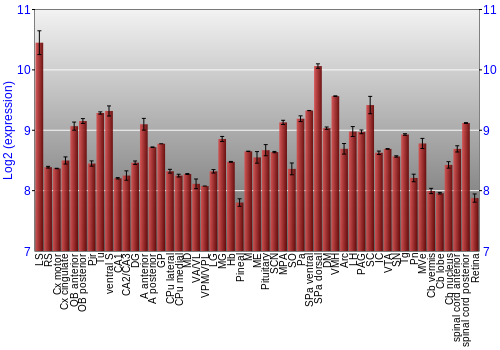 Expression graph