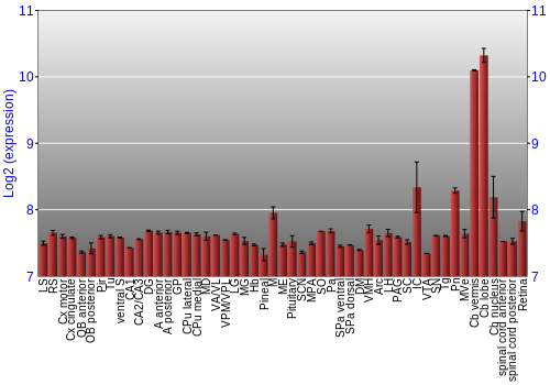 Expression graph
