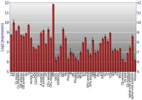 Expression graph