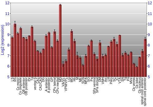 Multi-state expression graph