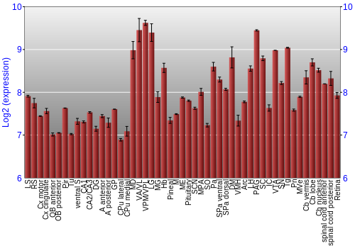 Expression graph