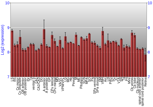 Expression graph