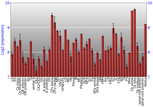 Expression graph