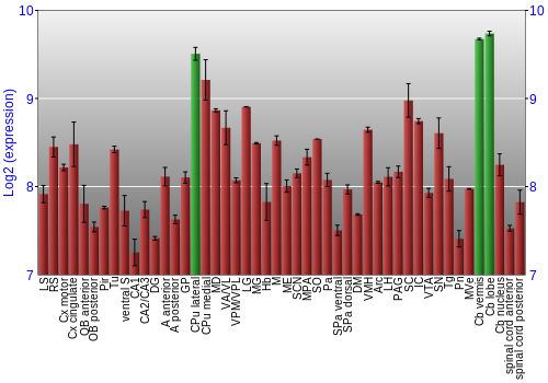 Multi-state expression graph